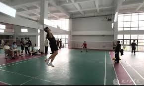 棒球与地缘政治：解析日韩棒球交流对大联盟亚洲市场潜力的影响