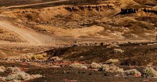 速滑世界杯海伦芬站韩梅再添一铜